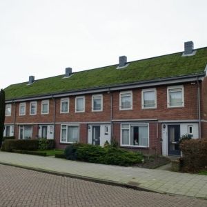 Programma Dakenstroom van Casade wint award voor natuurinclusief bouwen